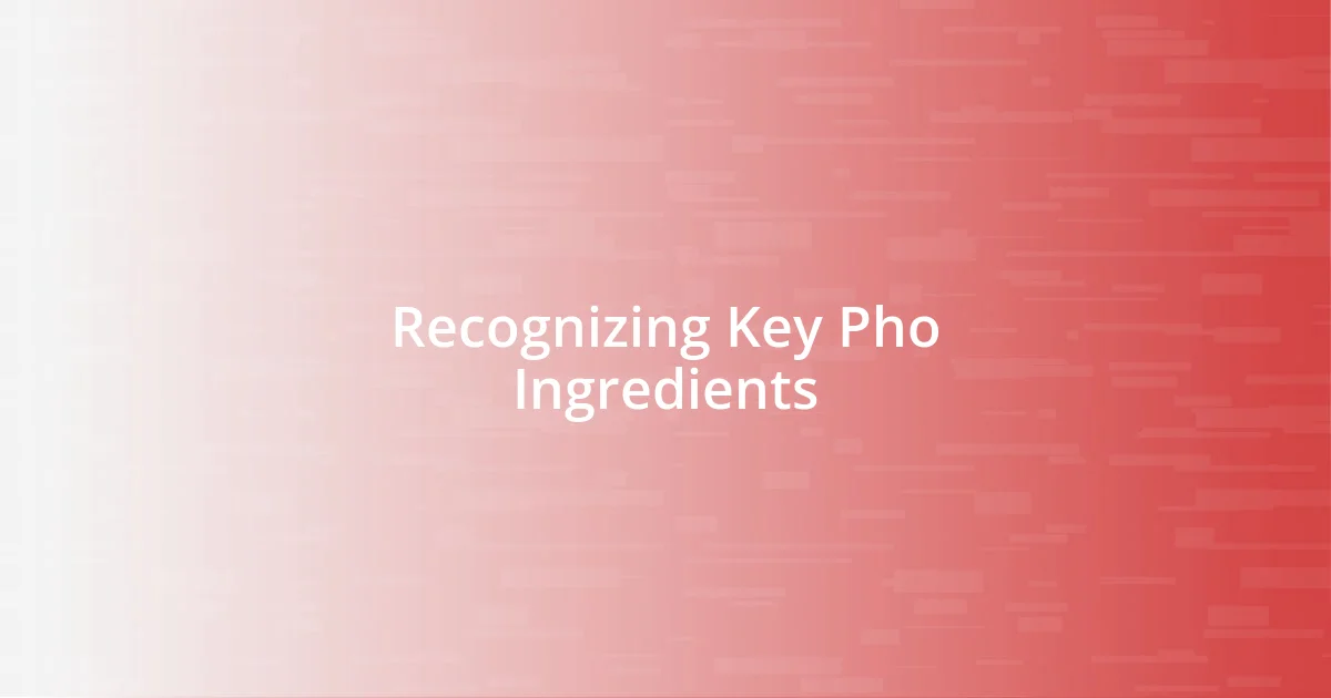 Recognizing Key Pho Ingredients