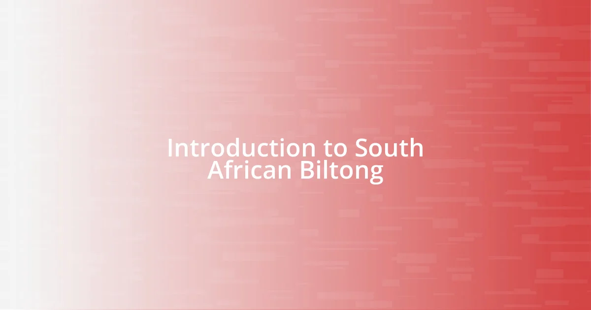 Introduction to South African Biltong